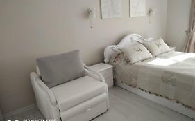Deluxe Apartment Vesela 5